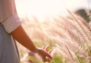 Lire la suite à propos de l’article Comment soulager les douleurs de l’endométriose naturellement ?